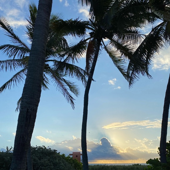 Meet your Posher, Ari - Picture 1 of 1